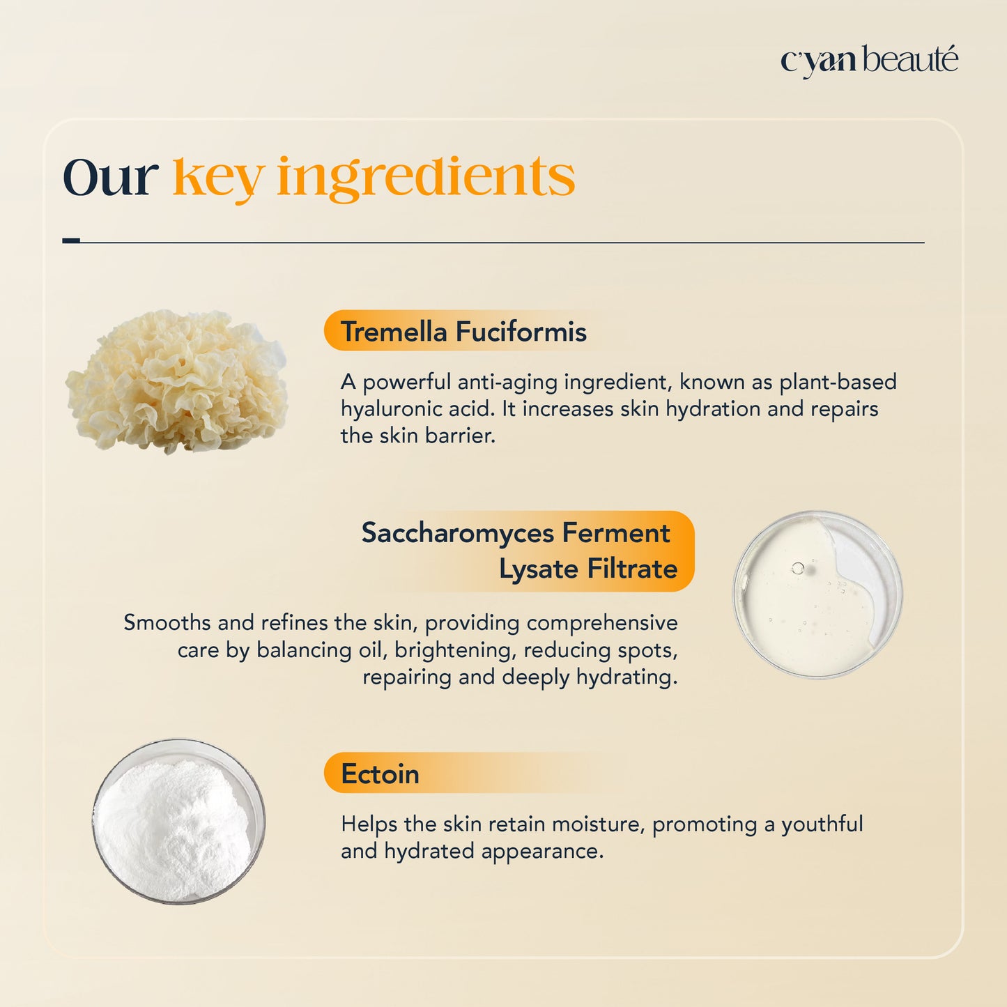 Fermented Tremella Moisturizing Treatment Mask