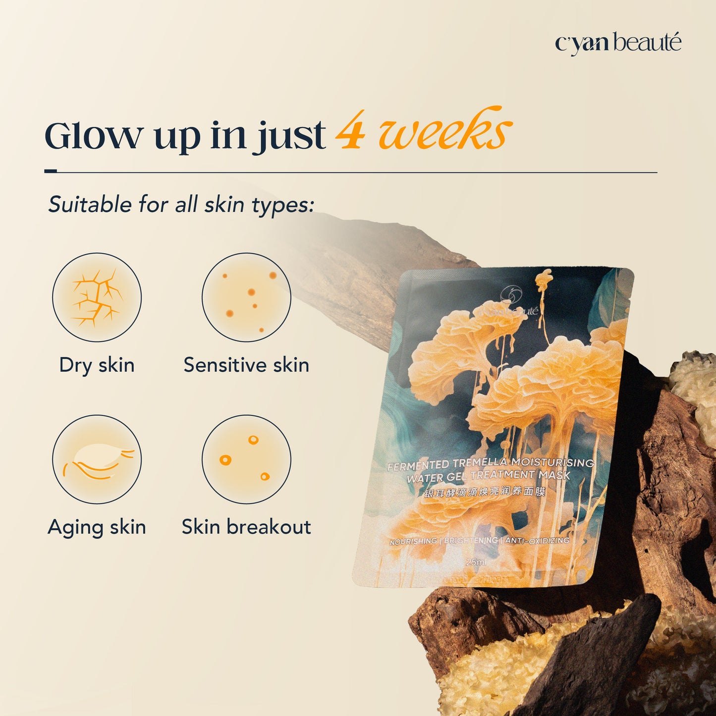 Fermented Tremella Moisturizing Treatment Mask